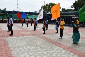 STJ_6629