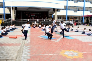 STJ_6854