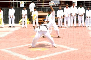 STJ_7031