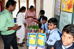 STJ_7856-240kb