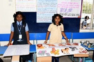 STJ_7860-240kb